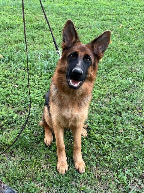 A-ha Du Mont D'Alsace